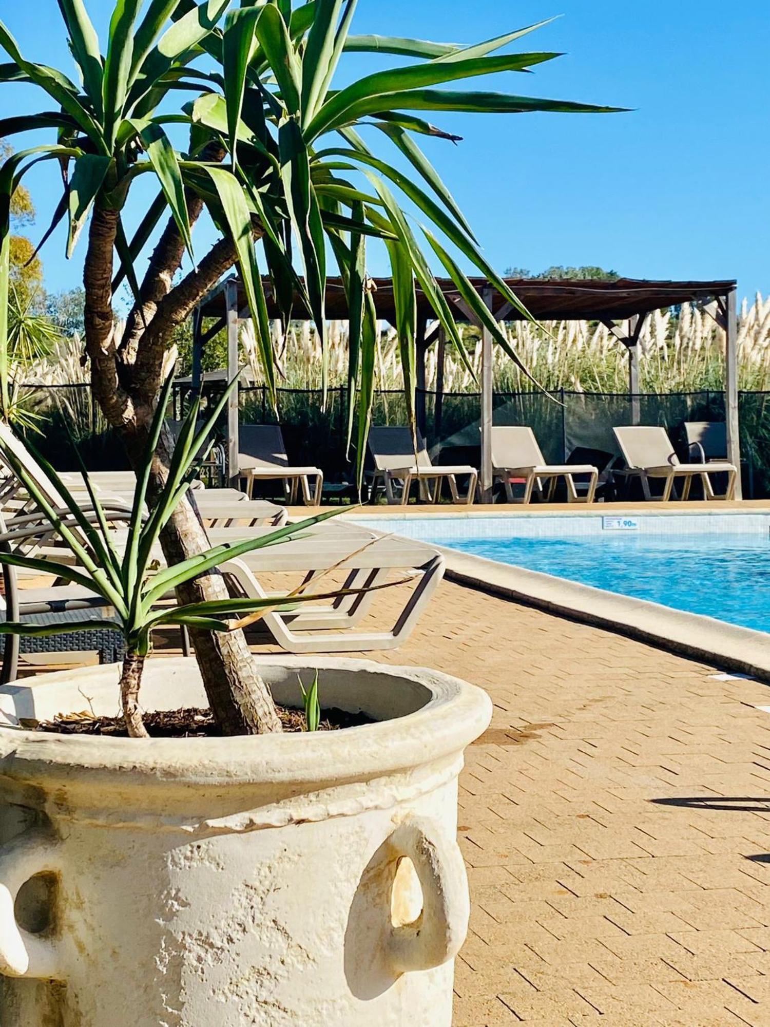 Hotel Le Mas Des Ponts D'آرْلْ المظهر الخارجي الصورة